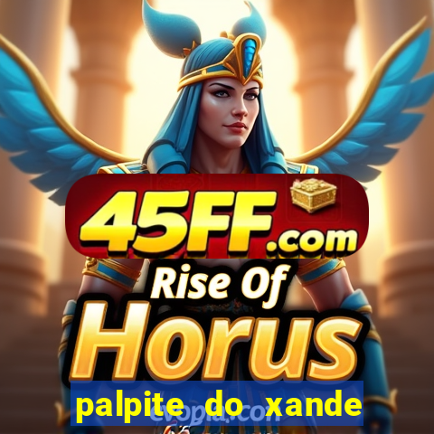 palpite do xande de hoje